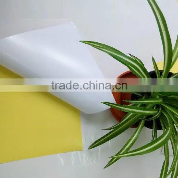 Cast Coated Sticker Paper