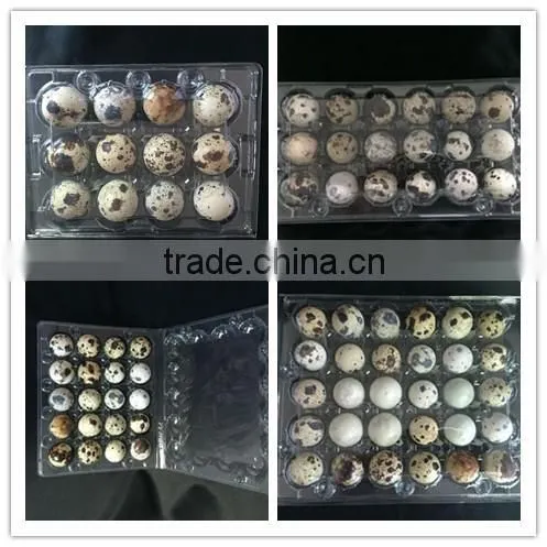 OUCHEN Wholesale High Quality Plastic Quail Egg Cartons Container Box 12 18 20 24 30 Holes for Sale photo-6