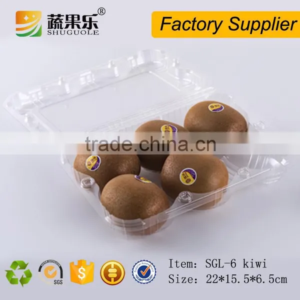 Hot Sale 6 Kiwi Fruit Use Packaging Box photo-4