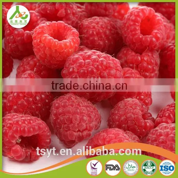 2016 Common and Organic Season Frozen Iqf Raspberry