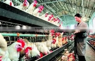 Modified Soya Lecithin for Cattle Feed Ingredients photo-3