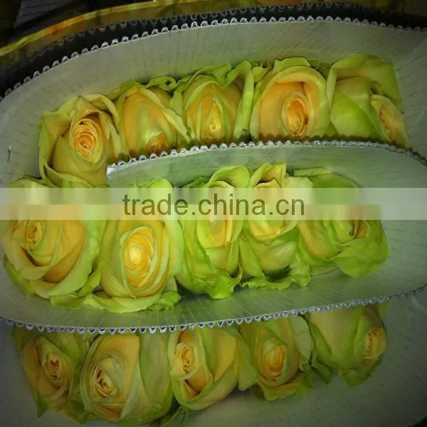 Wholesale Fresh Cut Rose Flowers for Wedding photo-4