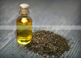 CARAWAY ESSENTIAL OIL photo-5