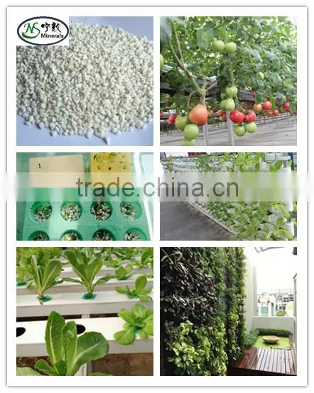 Good Soil Aeration Soil Drainage Mediums Bulk Expansion Perlite photo-4