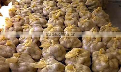 Vietnam Origin Potato 2016 New Crop With Wholesale photo-6