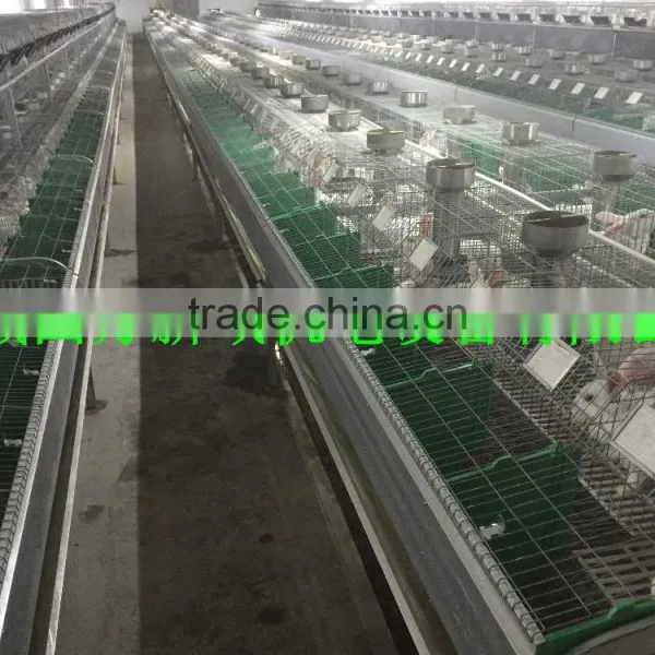 Cage For Sale (Female and Baby Rabbits/Commercial Rabbits)Rabbit Farming Cage, Industrial Cage for Rabbit ,Commercial Rabbit Cag