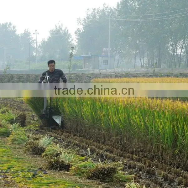 New Small Grain Binder for Sale photo-6