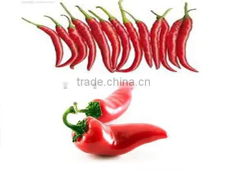 FP-05 High-speed Tiangang Food Griding Machine Chili Pepper Special Maker Paste photo-4