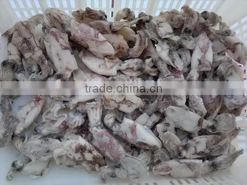 IQF China Yellow Sea Baby Squid photo-4