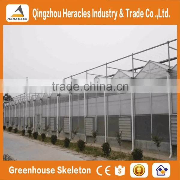 Heracles Trade Assurance Multispan Tunnel Greenhouse photo-4