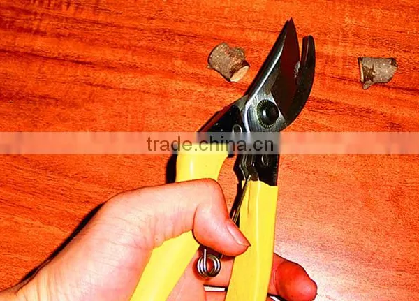 Yellow BY-pass Pruners photo-4