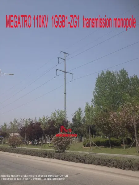 MEGATRO 110KV 1GGB1-ZG1 Transmission Monopole photo-2