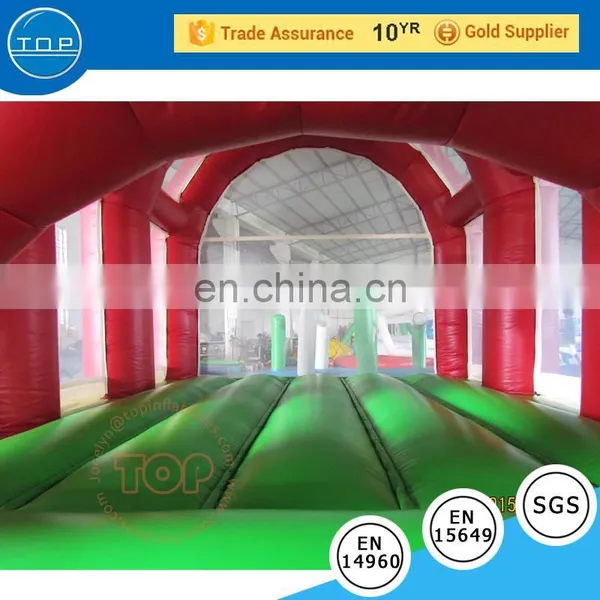 TOP INFLATABLES Hot Selling Bouncy House Inflatable Castle Fish Water Slide photo-2