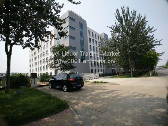 INTEGRATED PLAZA FOR GLOBAL LEASING AND SALE photo-2