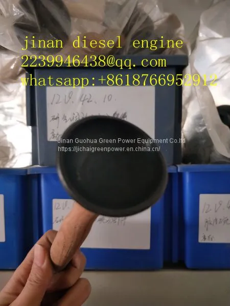 Jinan Gas Engine Chidong Brand Natural Gas Engine Parts 12v190