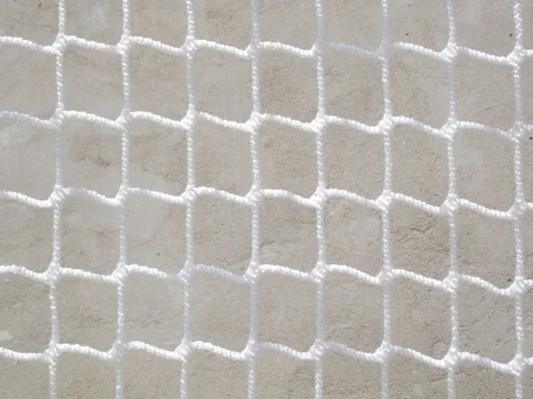 Ice Hockey Net