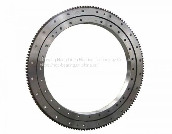 Turntable Bearing Slewing Ring Bearing With Without Gear RKS.060.20.0844 photo-5
