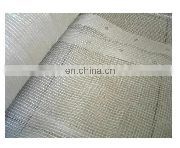Transparent Leno PE Tarpaulin 3x3 70~280GSM, Made in Viet Nam. photo-2