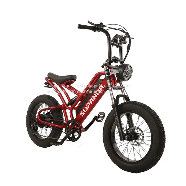 Hot Selling E-bike 20 Inch Electric Bicycle Wholesale Wholesale Electric Bicycles photo-4