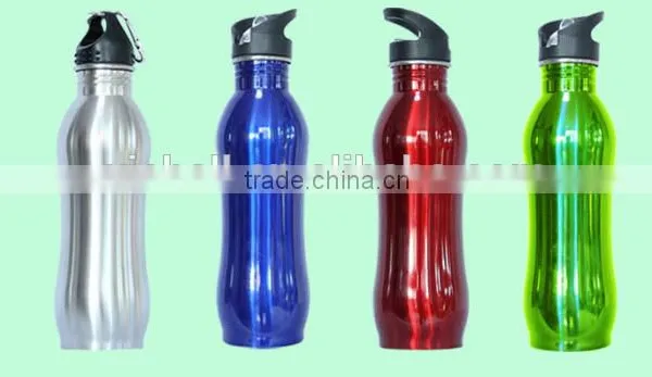 Stainless Steel Water Bottle