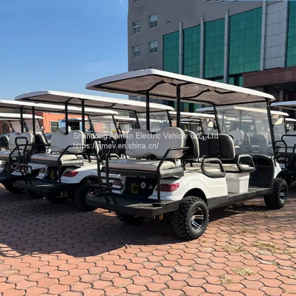 Electric Golf Cart for Resort Hotels, 6-seater Golf Sightseeing Car photo-2