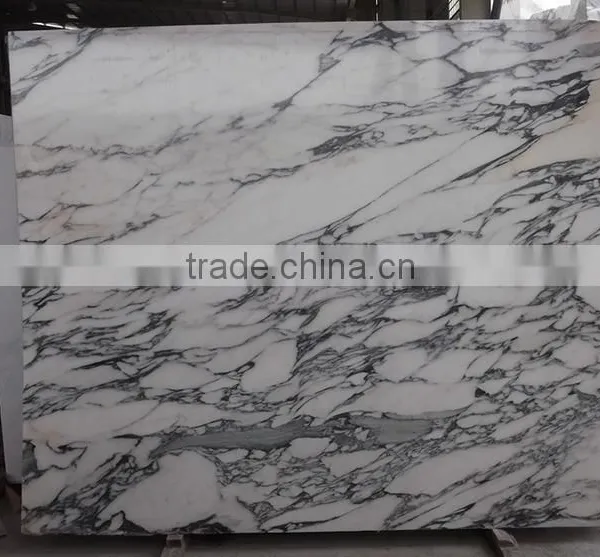 Polished Arabescato Corchia Stone Italy White Marble Quality Choice photo-6