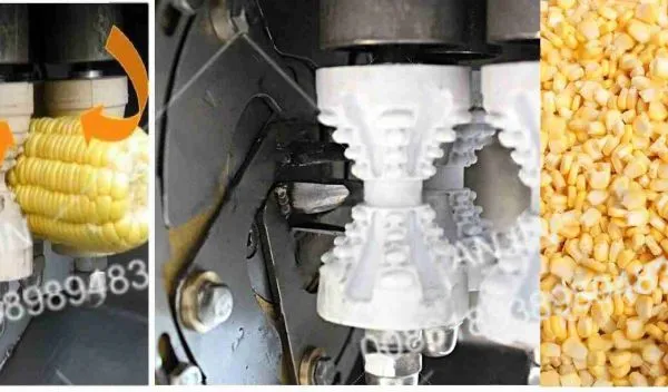 Automatic Fresh Corn Processing Line Sweet Corn Kernel Seperating Threshing Machine photo-4