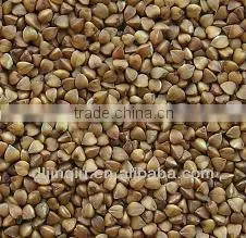 Roasted Buckwheat 2012 Crop