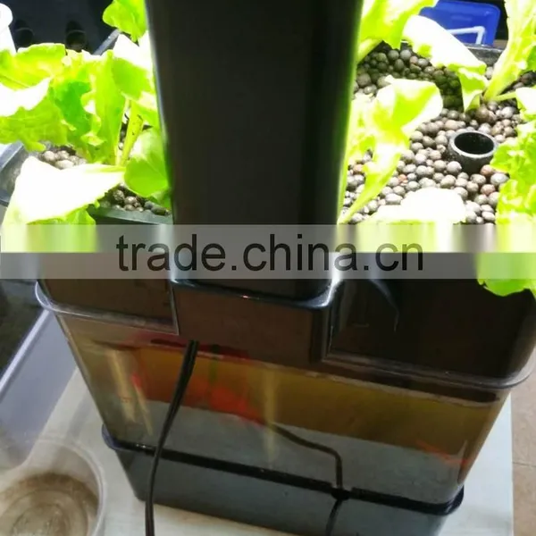 Mini Aquaponics System With LED