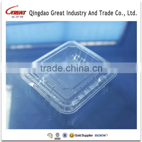 Good Quality Disposable Plastic Blueberry Fruit Packaging Container 125Gram photo-3
