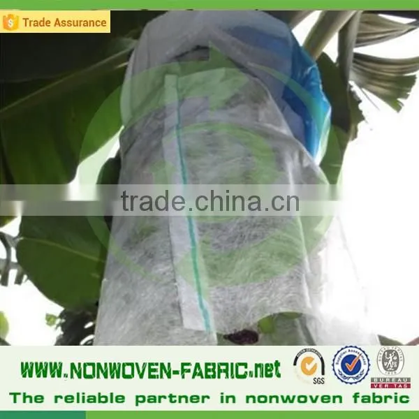 Spun Bond Non Woven for Agriculture Non-woven Banana Bag photo-4
