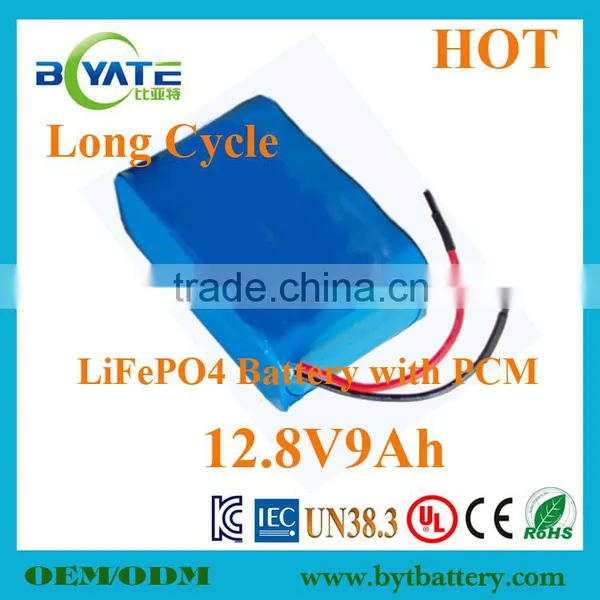 Hot Sell LiFePO4 12V Vacuum Cleaner Battery Factory photo-4
