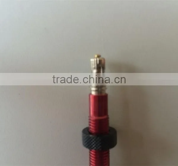 Top Quality Bicycle Tubeless Valve Fr12 Bike Tire Valve Stem, Caps, Core Factory photo-2
