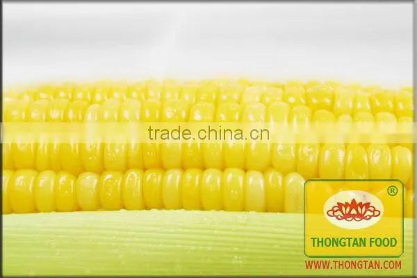 Canned Sweet Corn