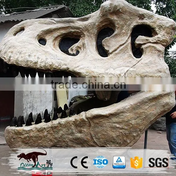 OA-SD-L02 Original Jurassic Skeleton Real Size Dinosaur Head Fossils photo-4