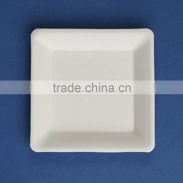 PL-06-S 6.75 Inches Disposable Flate Square Shape Sugarcane Dinner Plates photo-3