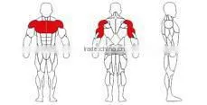 High Quality Chest Press Fitness Equipment-JG-1901 photo-2