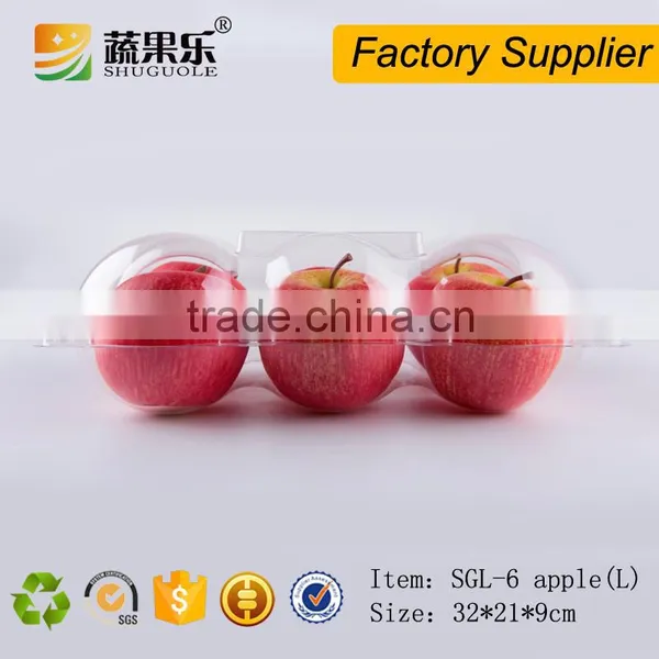 6 Loaded Clear Plastic Packing Box for Orange/apple photo-4