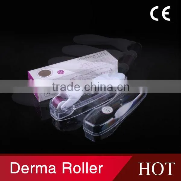 Best Skin Care Stainless Micro Derma Roller 600 Pins Microneedle Dermaroller DRS for Pigmentation Removal photo-2