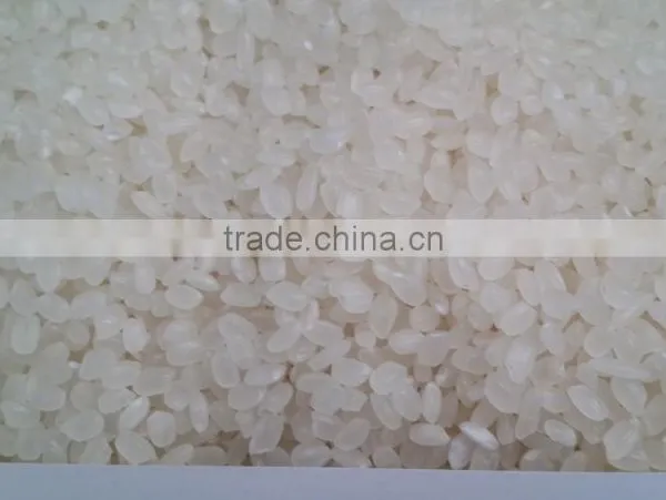 SELL ROUND RICE / JAPONICA RICE BEST QUALITY