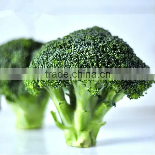 China Wholesale Broccoli, Broccoli Powder,Dried Broccoli Best Selling Products in Europe photo-6