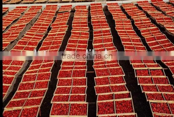 China Sun Dried Tomatoes photo-5