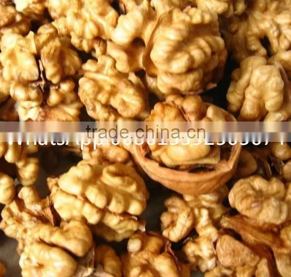 ISO Approved Peanut Oil Press Machine / Cold Press Oil Machine for Hot Sale photo-5