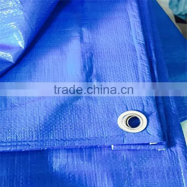 Plasitc Tarpaulin With Eyelet,waterproof and Dust Proof Tarpaulin Stand photo-2