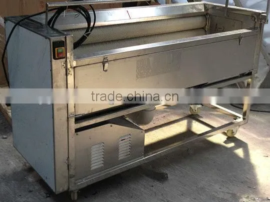 Automatic Industrial Washing Machine Vegetable Washer photo-5