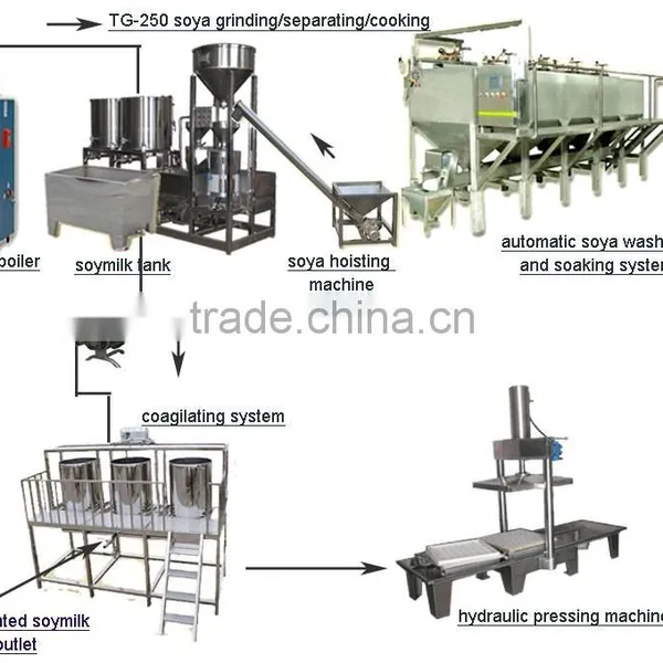 TG-250 Shanghai Automatic Tofu Machine / Tofu Making Machine photo-2