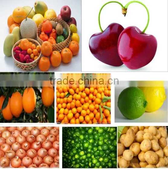 Fruit Sorting Machine/vegetable Washing Machine photo-6