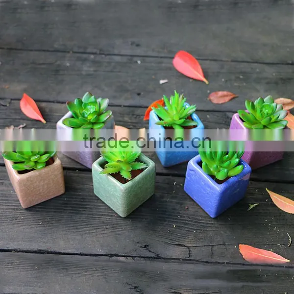 Whosale Different Colours Decoration Square Ceramic Bonsai Pots China With Hole photo-3