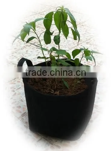 20 Gallon Fabric Grow Pot Grow Bag photo-3