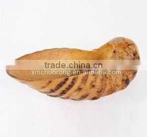 Bamboo Fruit Plate photo-2